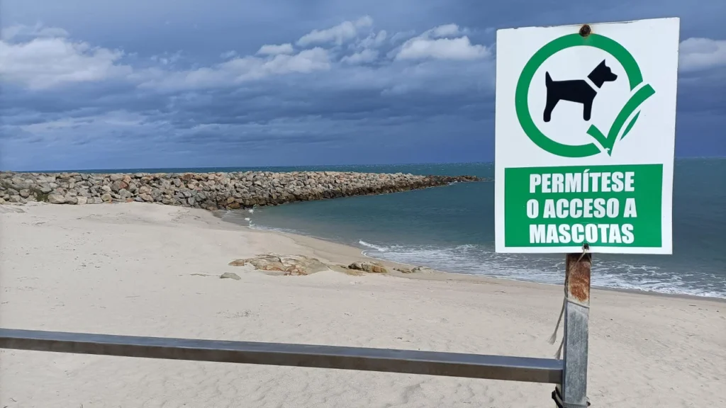 Espacio para imagen de señalización en playas dog-friendly