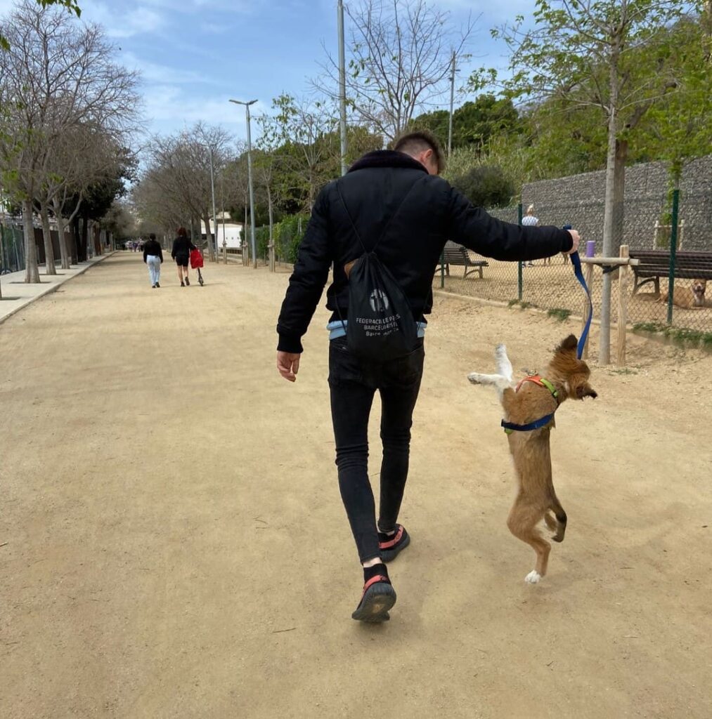 Dimanimales jugando con un cachorro de 6 meses mientras lo esta cuidando en su trabajo