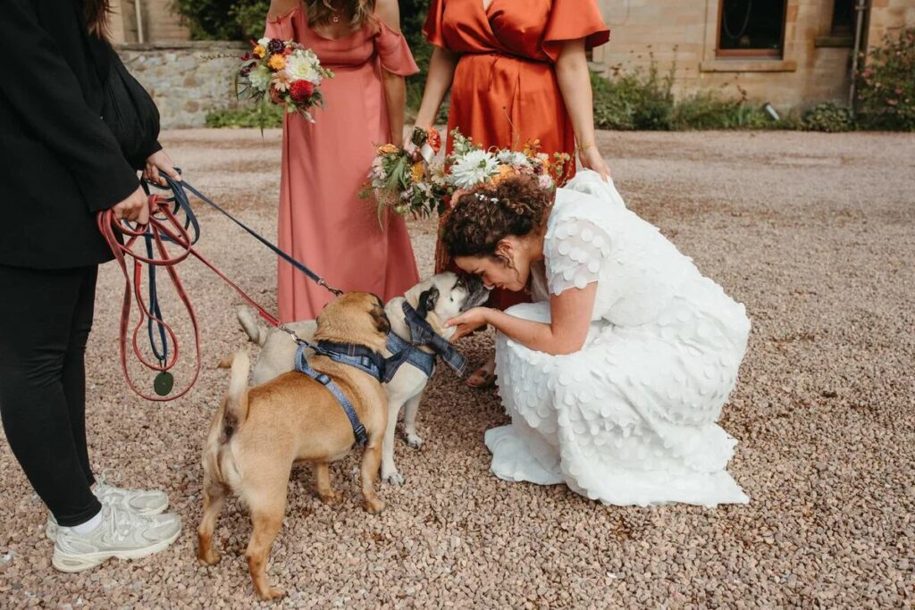 Novia abrazando a su perro después de la ceremonia, ambos felices.