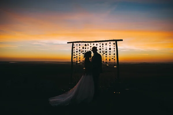 Novios caminando con su perro al atardecer después de la boda.