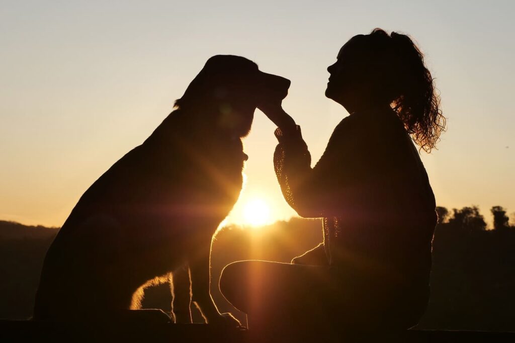 Chica acariciando a su perro