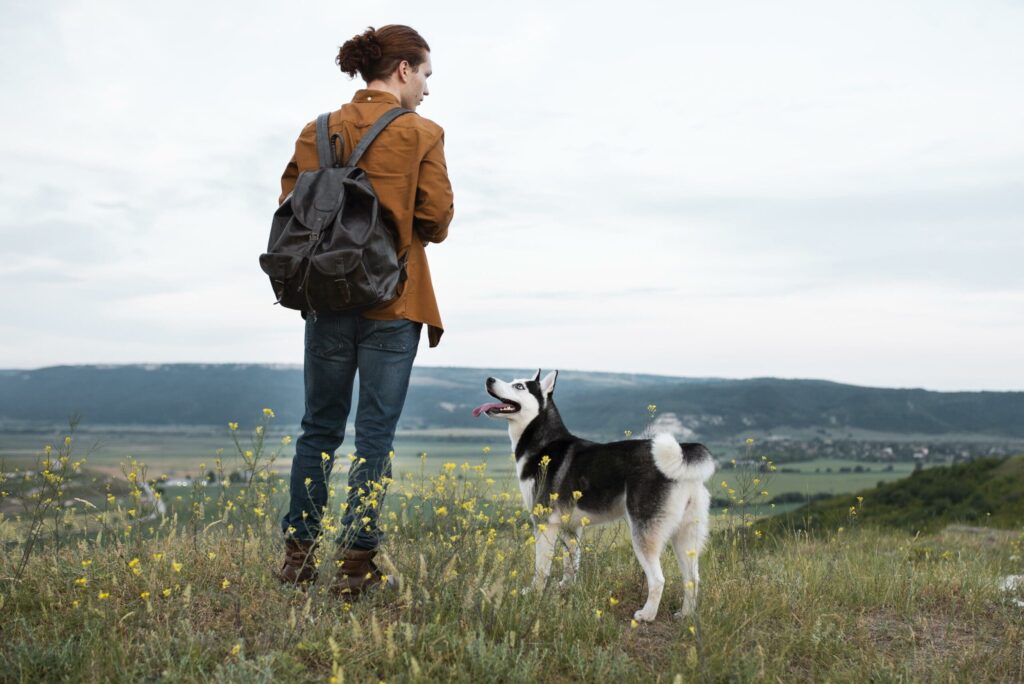 perro husky mirando a su perro dándole las gracias por llevarle de paseo ala montaña 