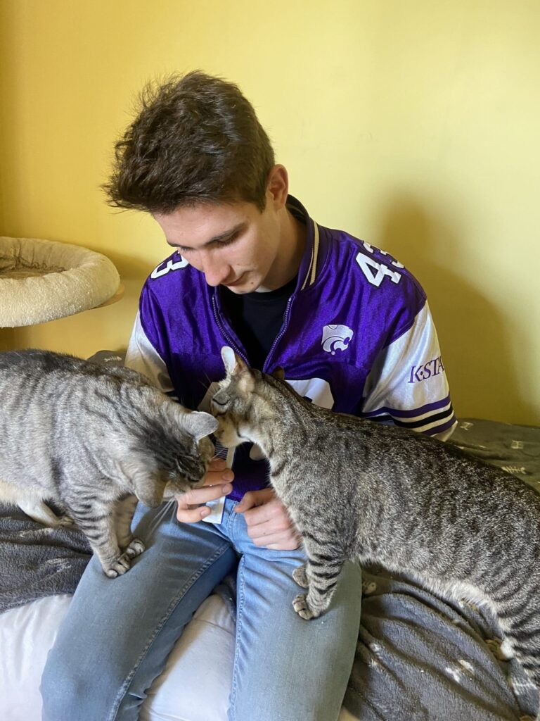 Dimanimales cuidando de dos gatitos dándoles Churú de comida como premio después de peinarles 