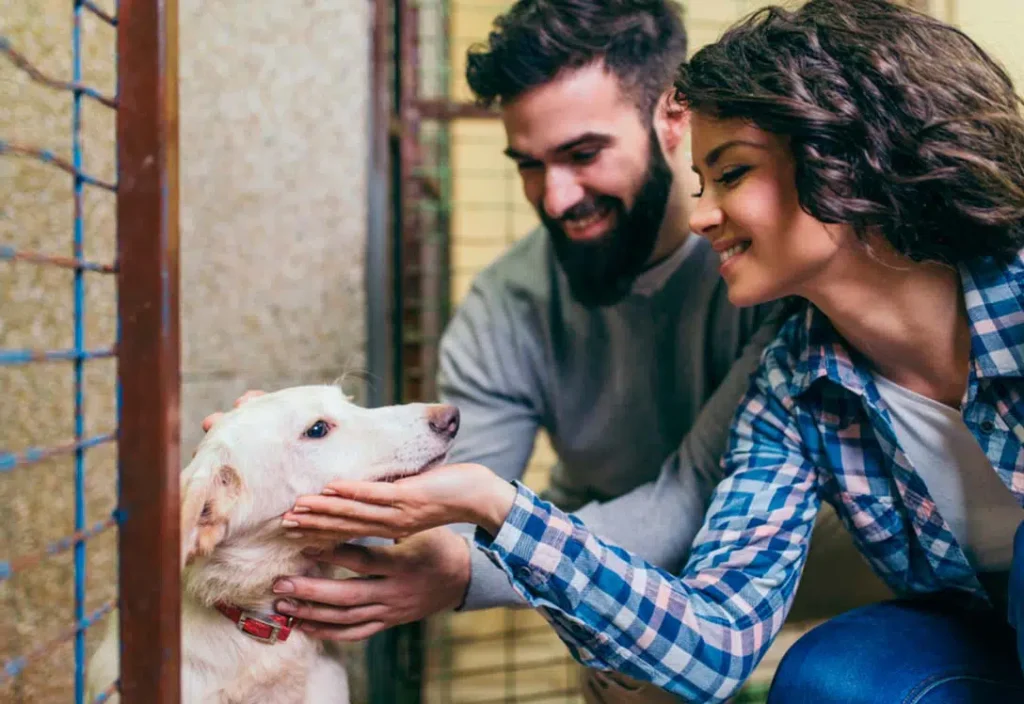 Dueño acariciando a su perro adoptado