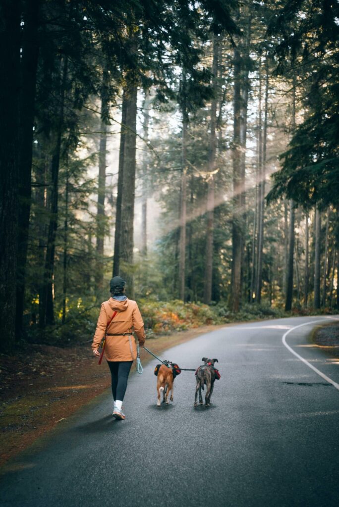 Chica paseando perros en la montaña