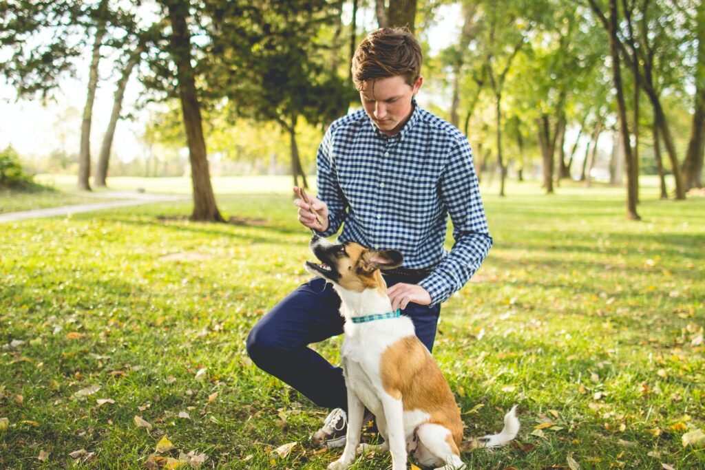 Cuidado de mascotas en bodas: Perro en área de cuidado durante una boda, con juguetes y agua.