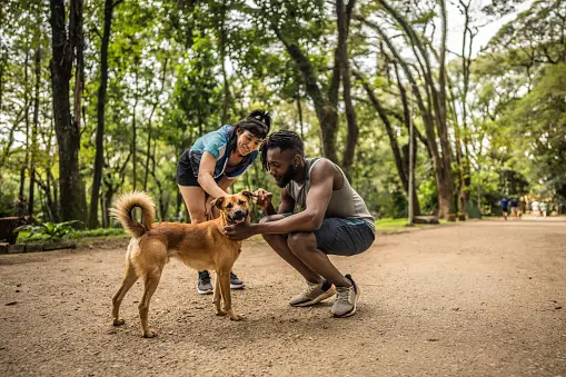 Perro interactuando con su dueño durante el entrenamiento en psicología canina para mejorar el comportamiento.