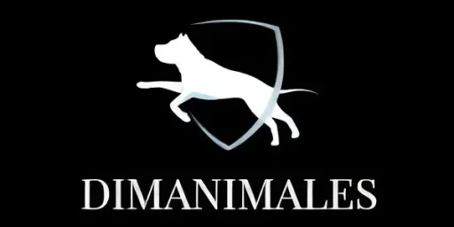 DimAnimales, servicio profesional de cuidado de mascotas en Barcelona. Cuidamos a tu compañero peludo con amor y dedicación.