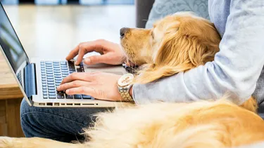 Cuidador profesional de mascotas jugando con un perro en Barcelona