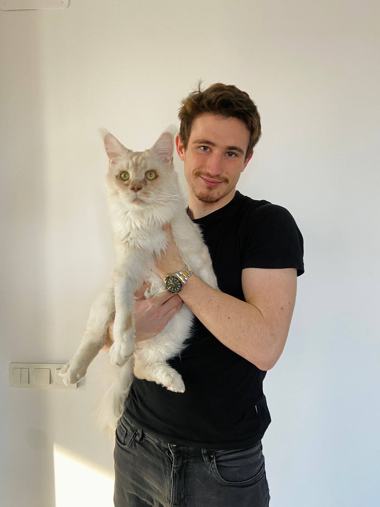 Pet Sitter y cuidadores de gatos en Barcelona para visitas a domicilio - DimAnimales